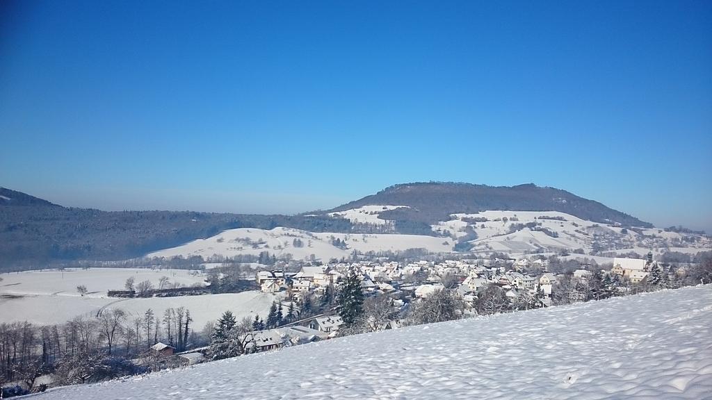 Familien Themen-Appartement Freiburg In Soelden 2 Schlafzimmer 外观 照片